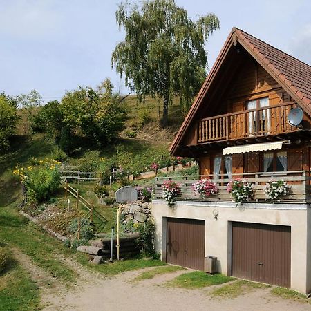Chalet-Gite Berbuche Sainte-Croix-aux-Mines Kültér fotó