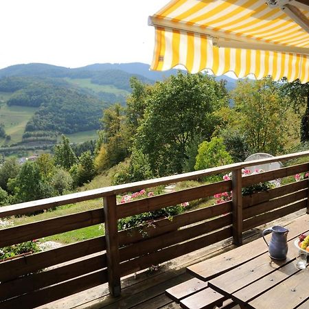 Chalet-Gite Berbuche Sainte-Croix-aux-Mines Kültér fotó