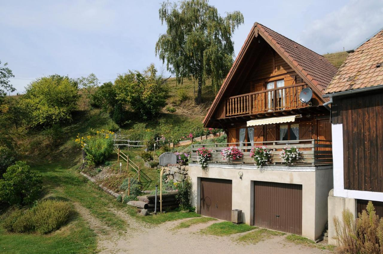 Chalet-Gite Berbuche Sainte-Croix-aux-Mines Kültér fotó