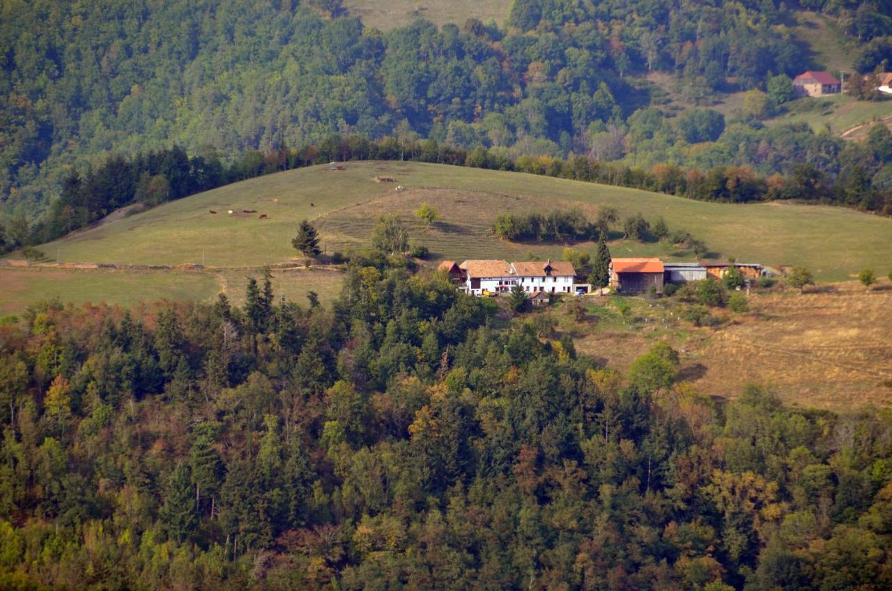 Chalet-Gite Berbuche Sainte-Croix-aux-Mines Kültér fotó